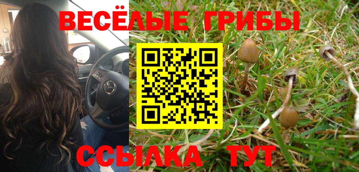 Коркино  Галлюциногенные грибы MAGIC MUSHROOMS  Вход с VPN 