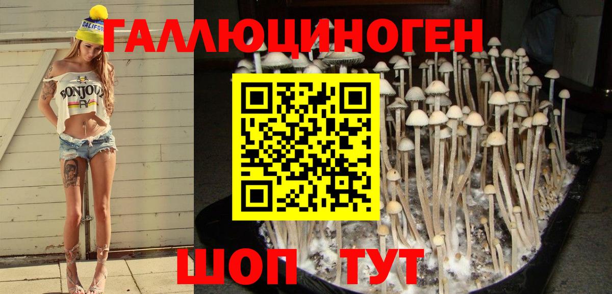 Псилоцибиновые грибы Magic Shrooms Коркино